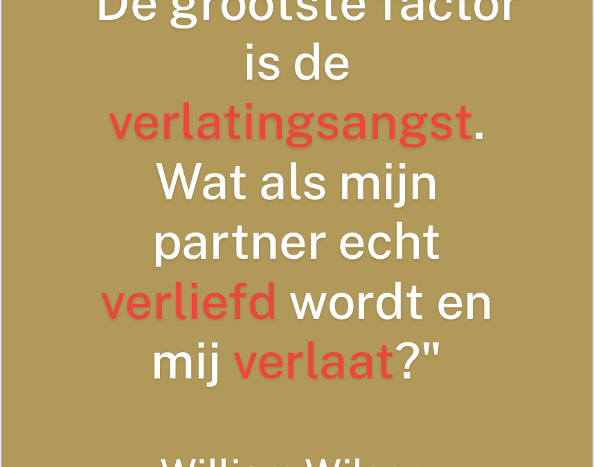 De man na ontrouw; Op weg naar mannelijke meesterschap met William Wilson